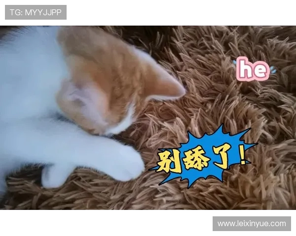 瓒冲潧浼犲榻愯仛杩堥樋瀵嗭紒璐濆厠姹夊娓╂牸缃楃撼灏斿宸翠箶瑙佽瘉涓栦勘鏉巻鍙叉€ф彮骞曟垬